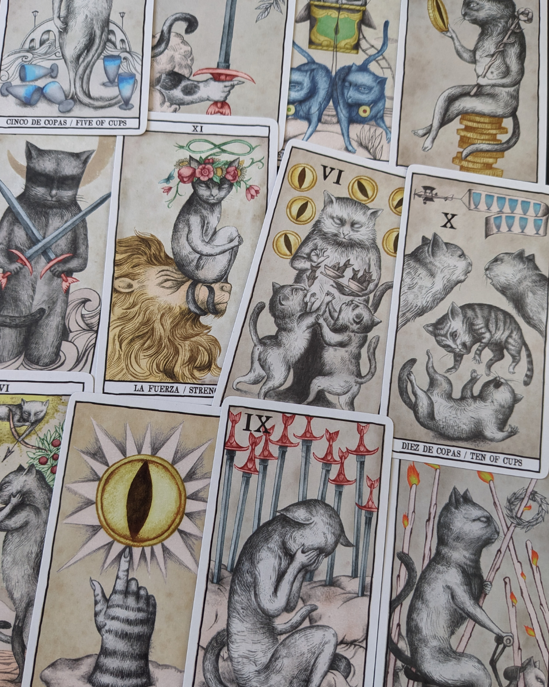 TAROT CATS